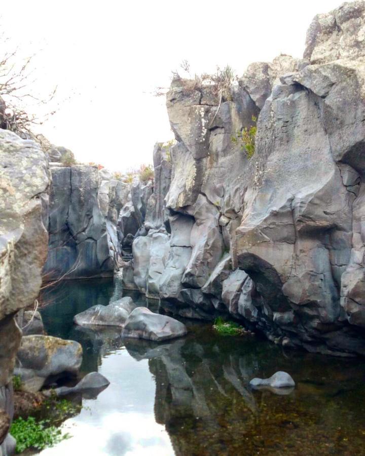 B&B Fragranza Di Sicilia Giardini Naxos Dış mekan fotoğraf
